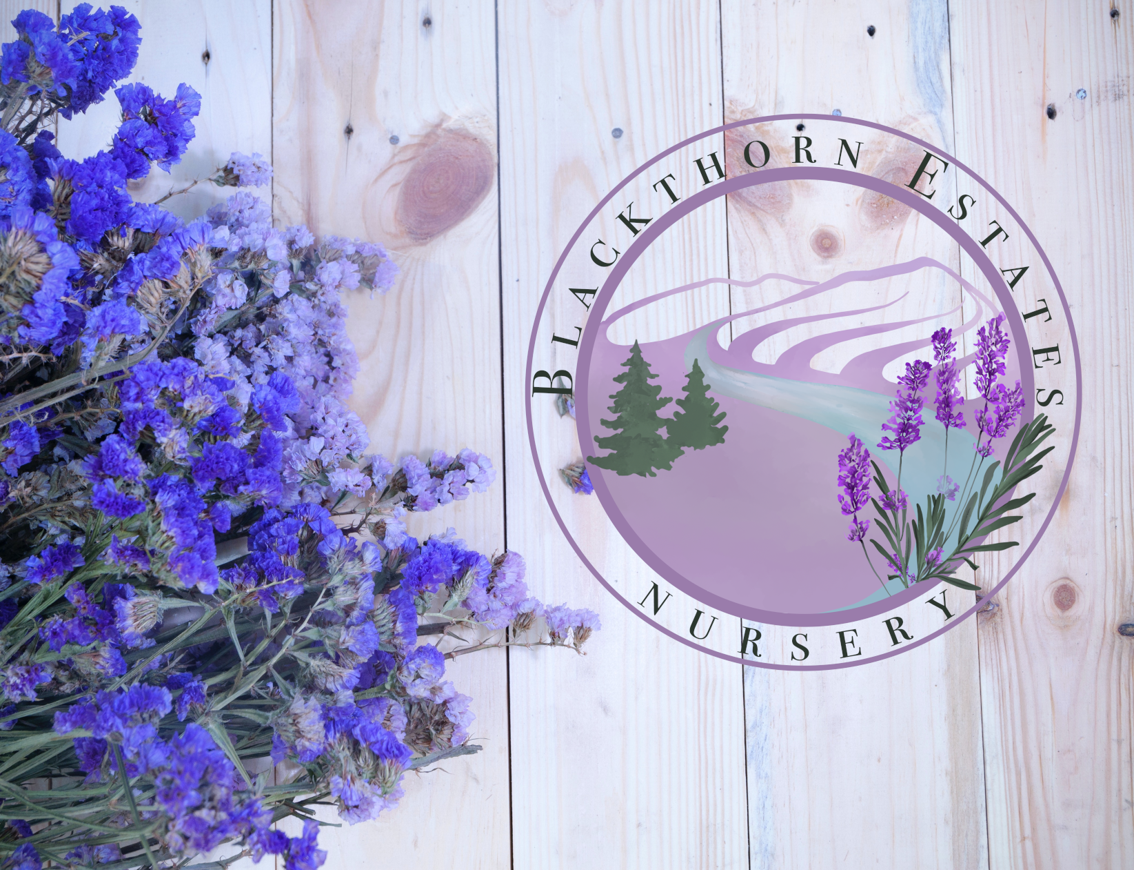 Blackthorn Lavender is a client of Sundance Media and Design
